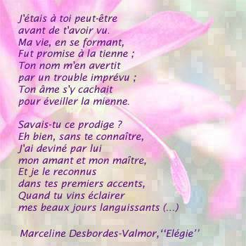 zenitram77:declaration